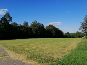 modernes Schwarzwald-Appartement 'Eiche'